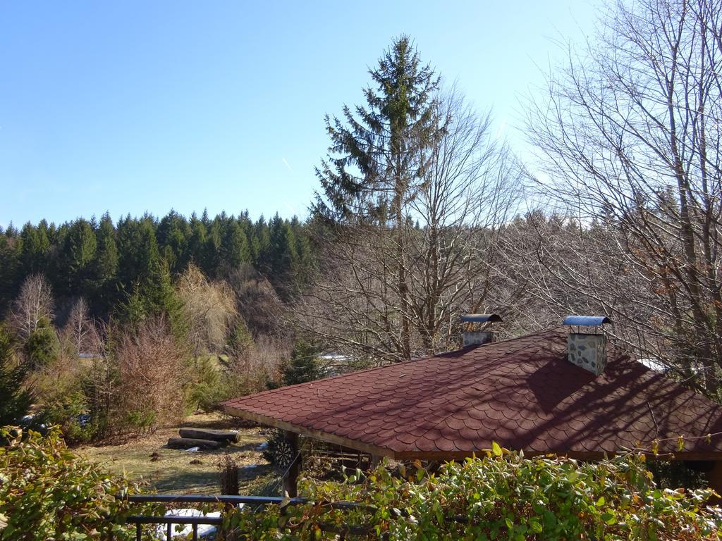 Vila Eden Porumbacu de Sus Zewnętrze zdjęcie