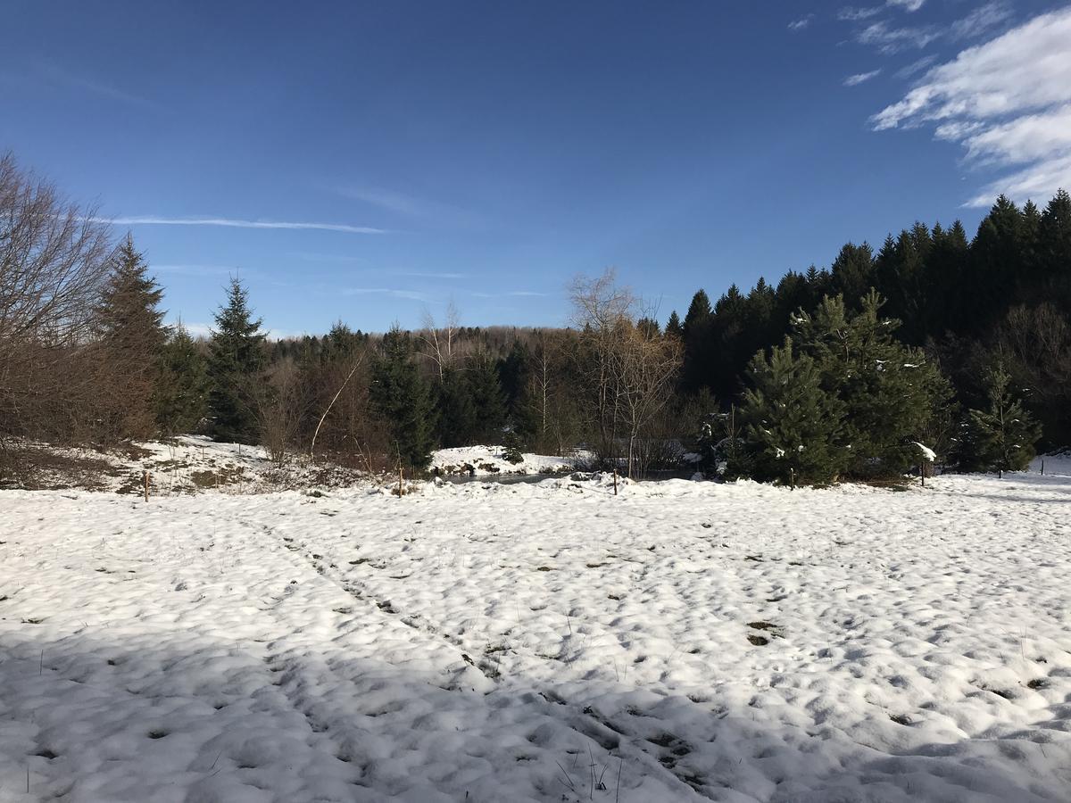 Vila Eden Porumbacu de Sus Zewnętrze zdjęcie