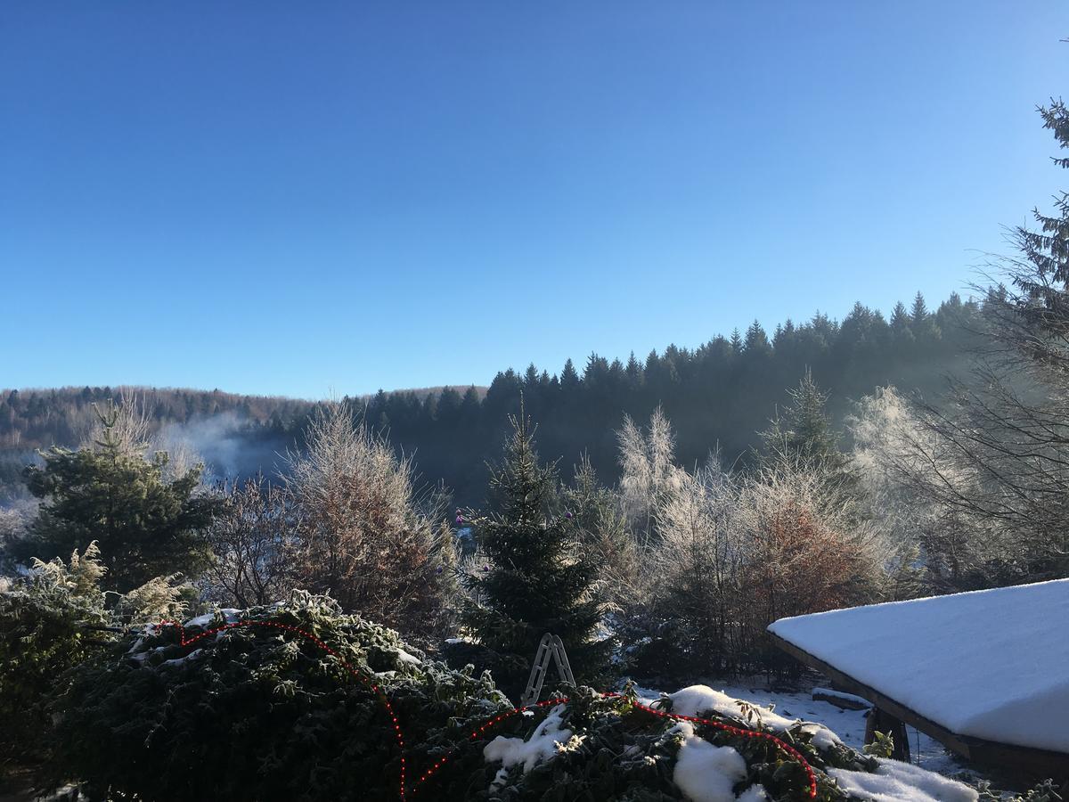 Vila Eden Porumbacu de Sus Zewnętrze zdjęcie