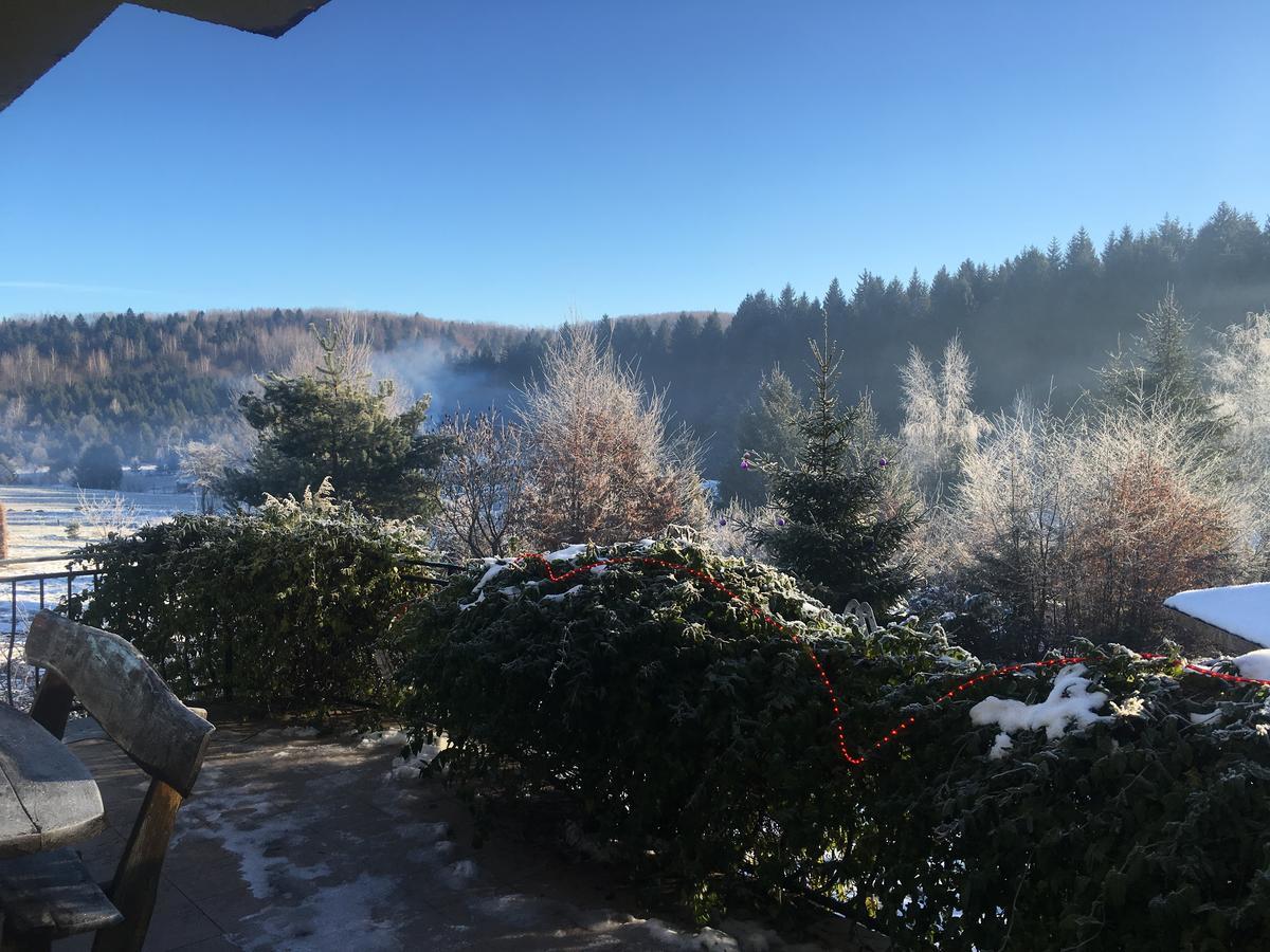 Vila Eden Porumbacu de Sus Zewnętrze zdjęcie