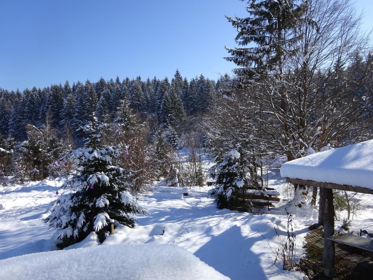 Vila Eden Porumbacu de Sus Zewnętrze zdjęcie